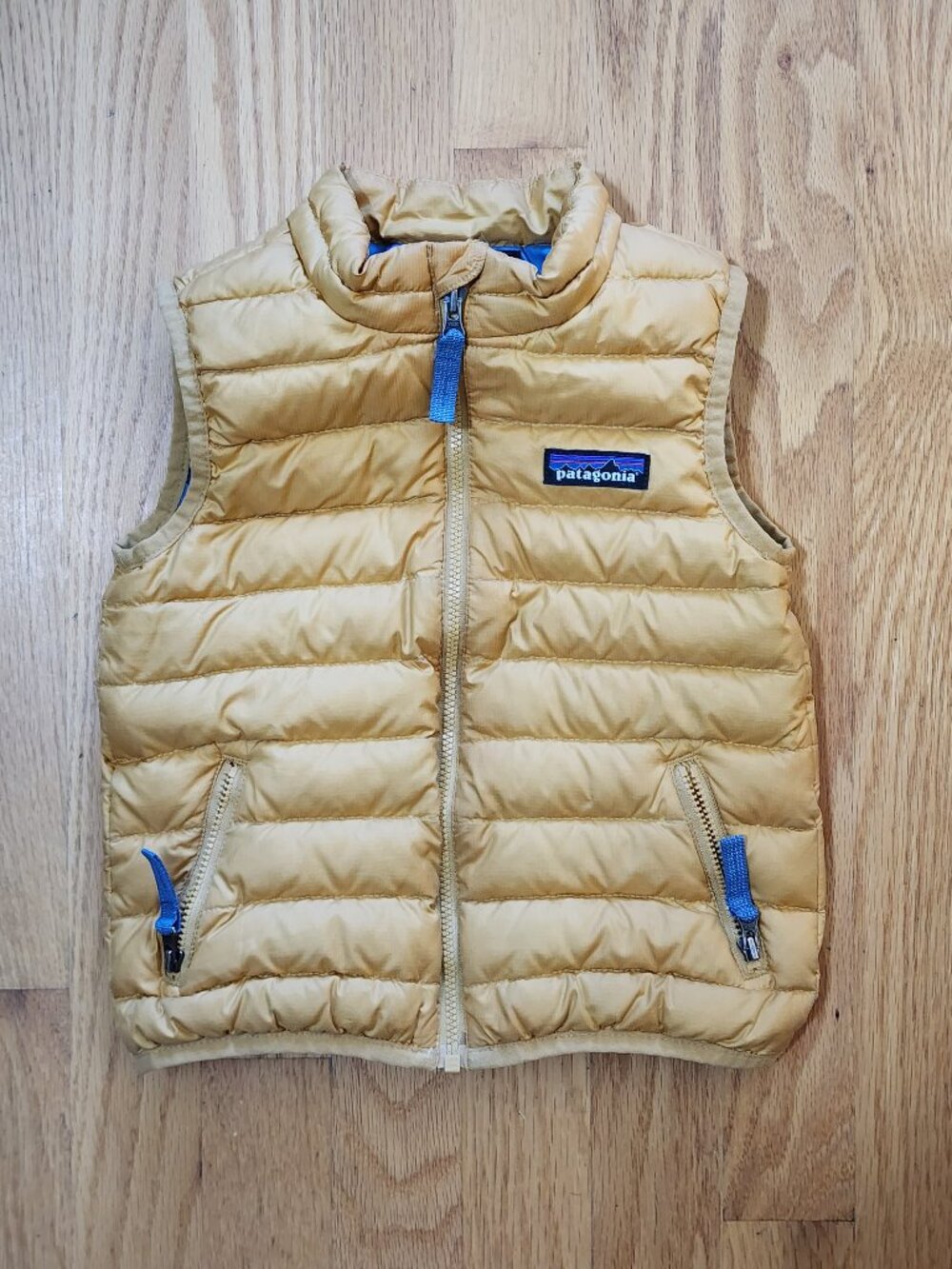Patagonia Gold Down Sweater Vest